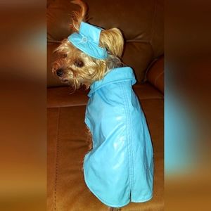 Blue Dog Rain Coat